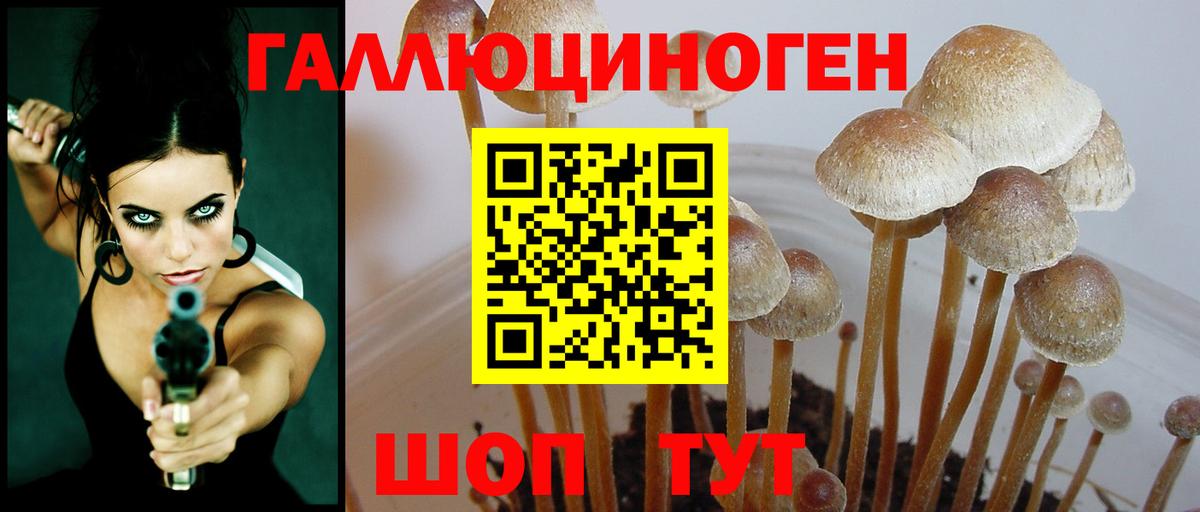 Псилоцибиновые грибы мицелий  Вход с VPN  Ишимбай 